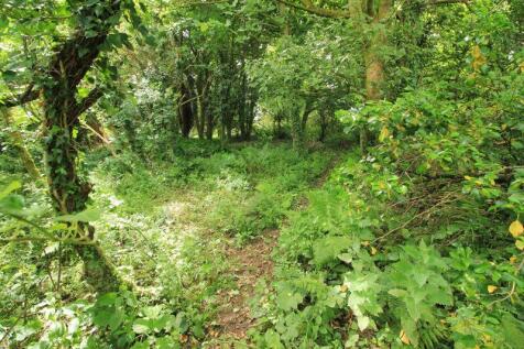 woodland walk