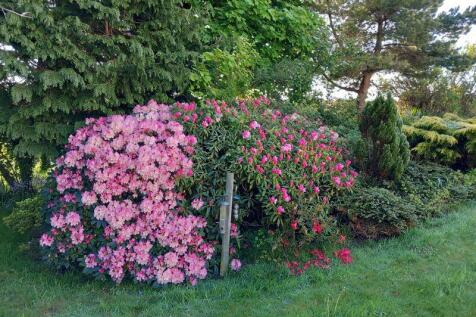 gardens in bloom