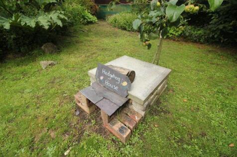 Hedgehog home