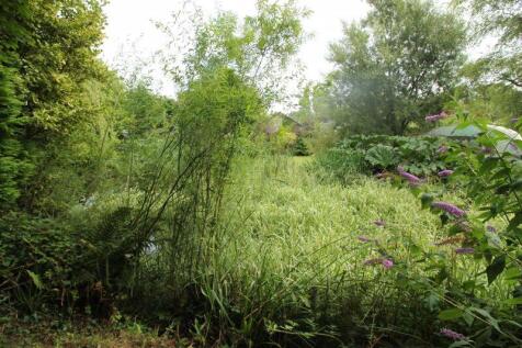 pond