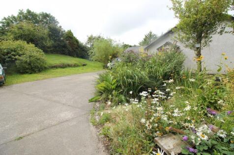 front drive and garden