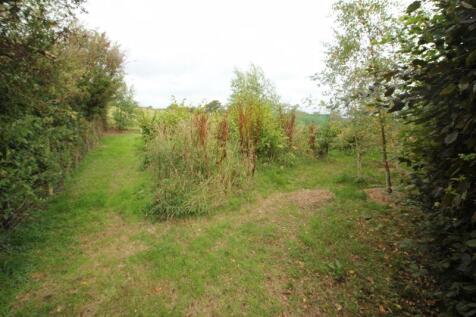 orchard