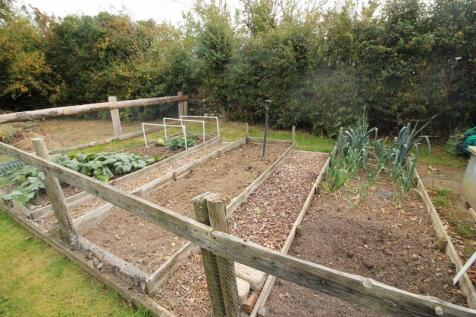 Veg garden