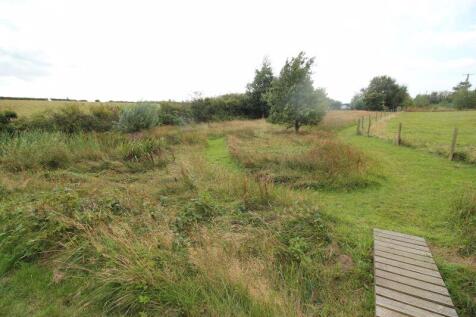 Wild gardens