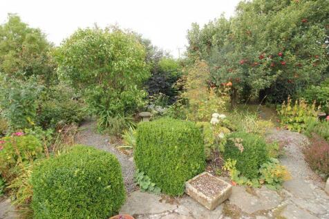 rear gardens