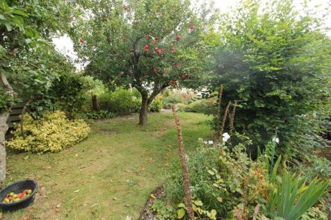 rear gardens