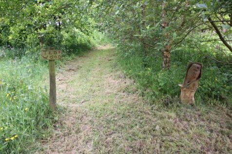 woodland path