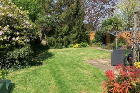 garden 3.jpg