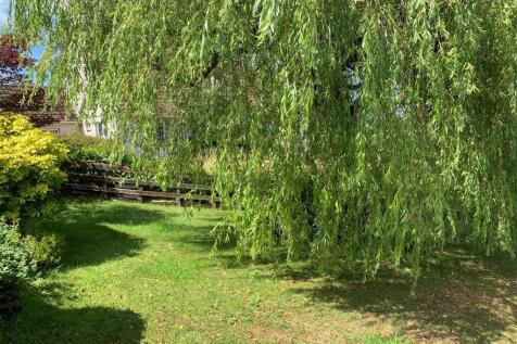 Front garden.jpg