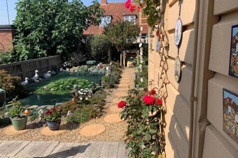 garden 2.jpg