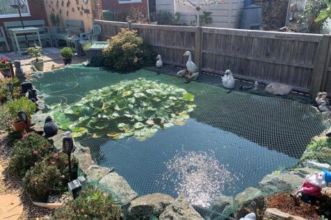 Garden.jpg