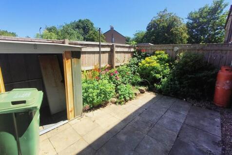 back yard.jpg