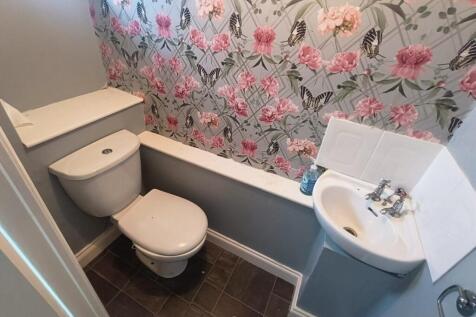 LOO.jpg