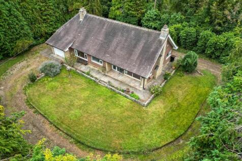 DJI_0695.jpg