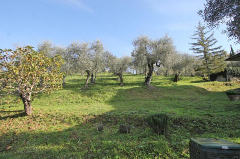 Property Image 52