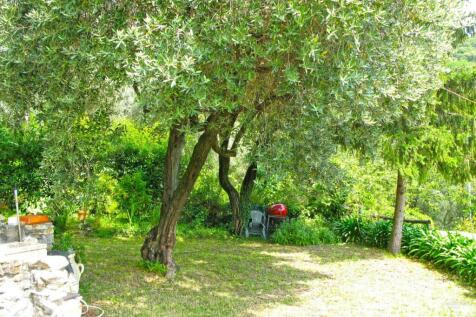 Property Image 46