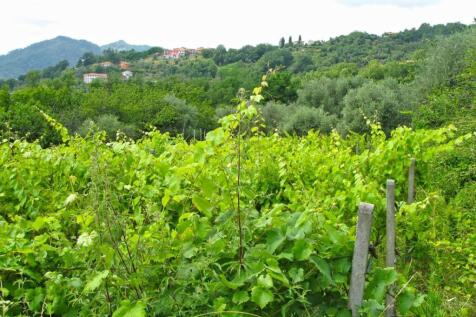 Property Image 50