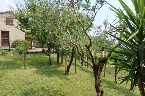 Property Image 62