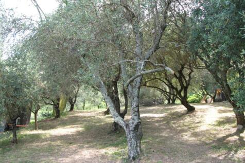 Property Image 64