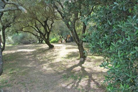Property Image 65