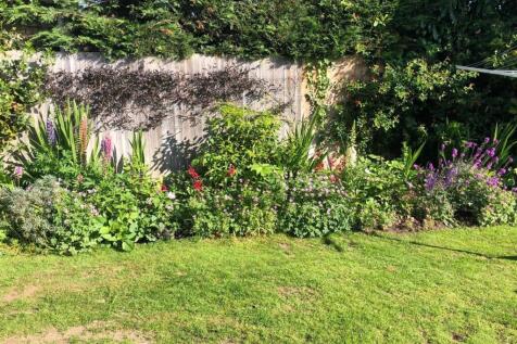 rear garden.jpg