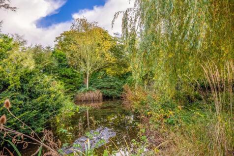 Pond