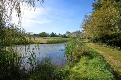 Pond