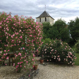 Property Image 22