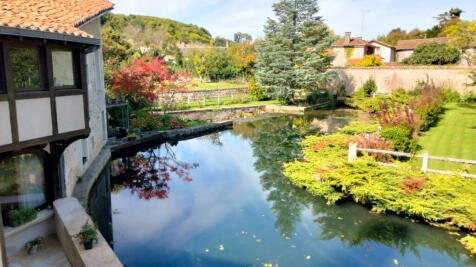 Property Image 22