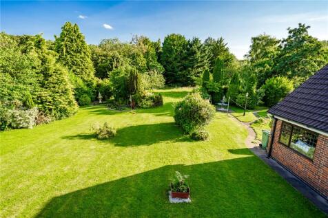 Garden (2)