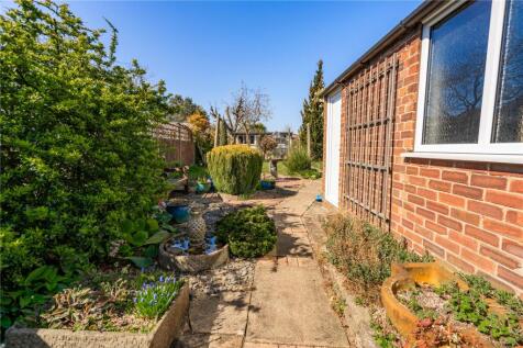 Garden (4)