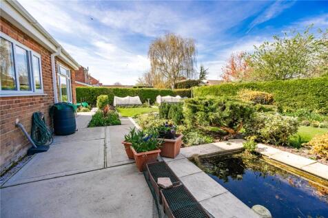 Garden (4)