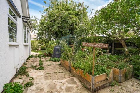 Garden (4)