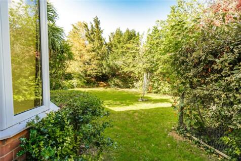 Garden (4)