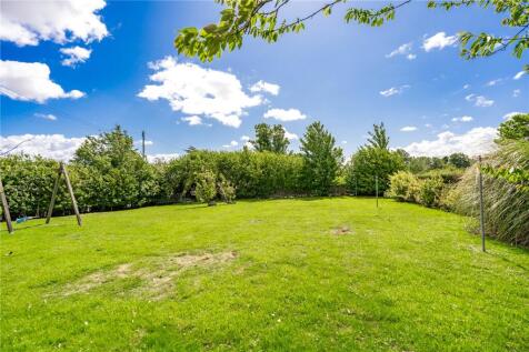 Garden (3)