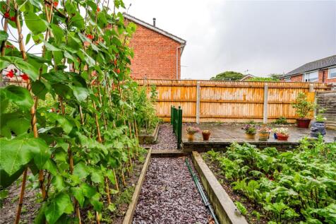 Garden (4)
