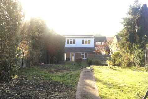 GARDEN 2.jpg