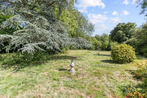 Property Image 46