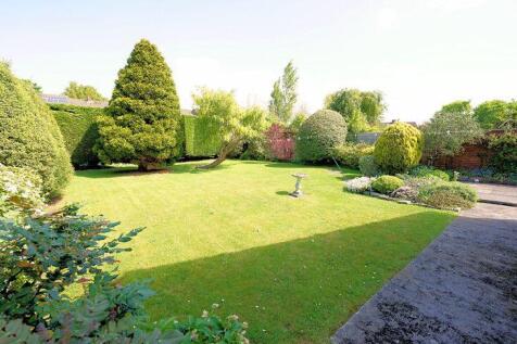 Beautiful garden