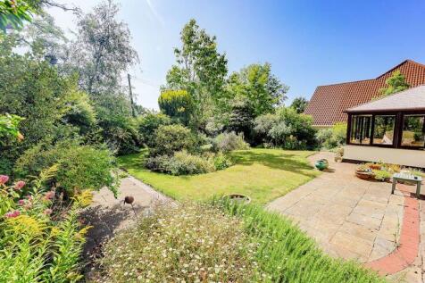 Secluded sunny garden