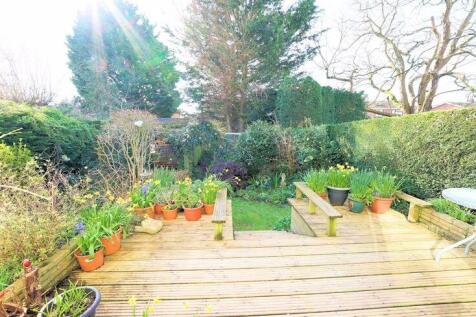 South facing garden
