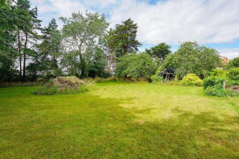 Informal lawn