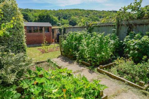 Vegetable garden