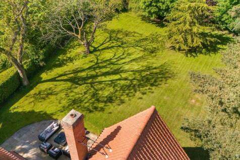 THE REAR GARDEN