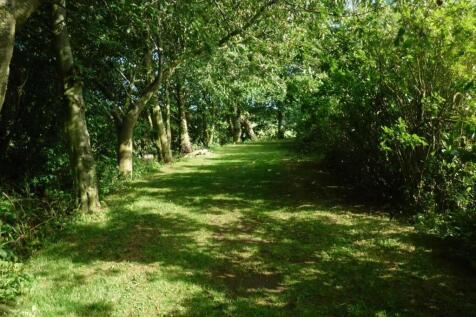 WOODLANDS PHOTO