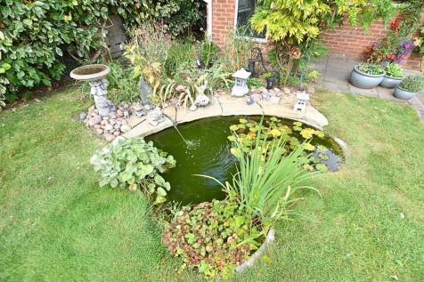 ORNAMENTAL POND