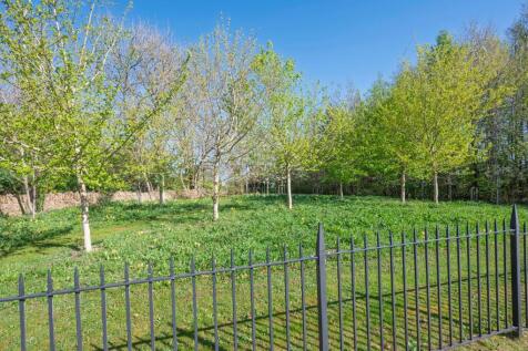 Communal Gardens