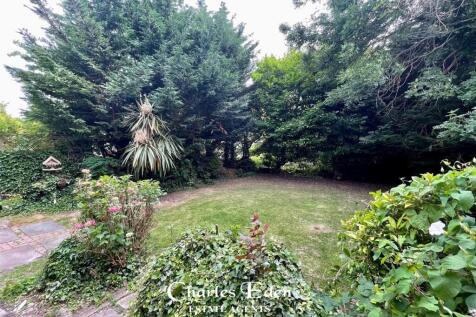 Garden.jpg