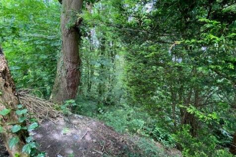 Woodland