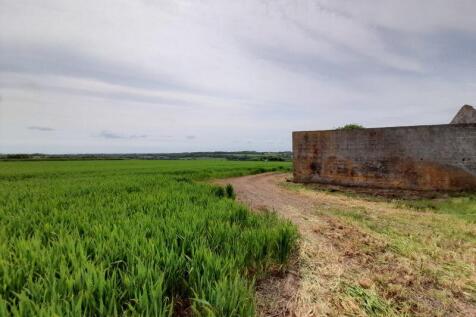Walkway to Barn with Views